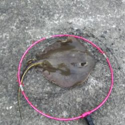 なんかイマイチ…