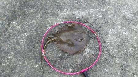 なんかイマイチ…