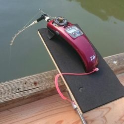 佐仲ダムでワカサギ