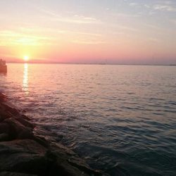 ショートバイトはあるものの