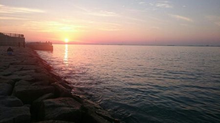 ショートバイトはあるものの