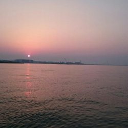 釣果にムラあり