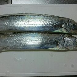 外向きは反応なし