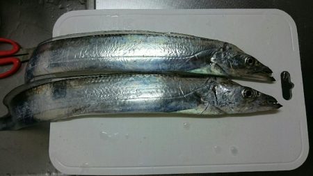 外向きは反応なし