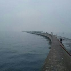 久しぶりの武庫川一文字