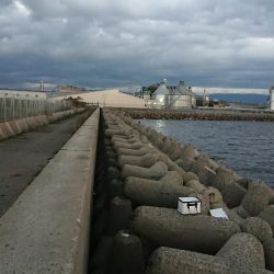 釣り部 釣行記 5