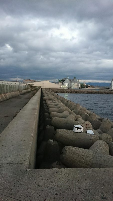 釣り部 釣行記 5