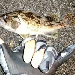 ジギング＆ライトゲーム