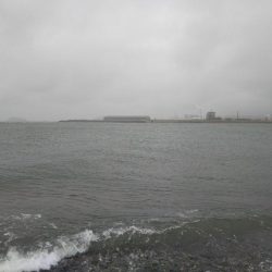 阿南市の大野突堤でタチウオ