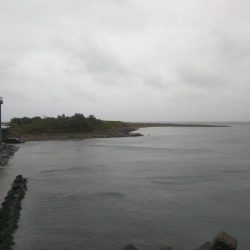 阿南市の大野突堤でタチウオとツバス