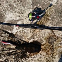 ひさびさランガンエギング〜！