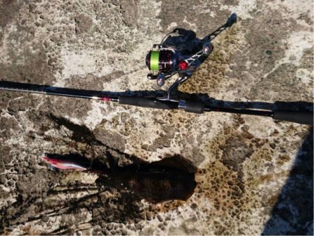 ひさびさランガンエギング〜！