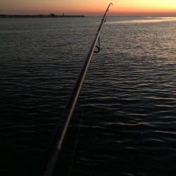 連日またまたタッチー(^^)