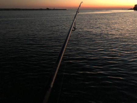 連日またまたタッチー(^^)