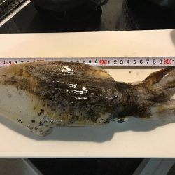 閉園前ギリギリGET