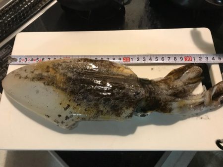 閉園前ギリギリGET