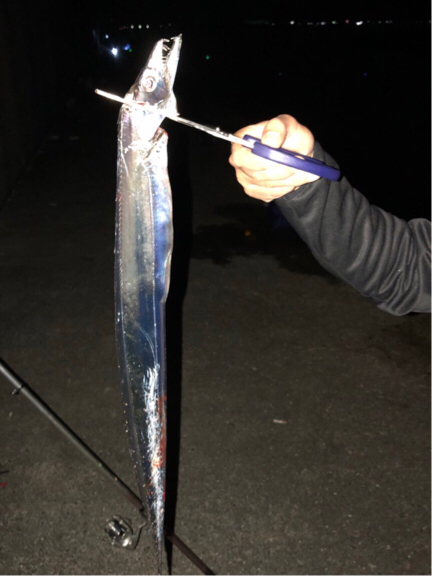 まぁなんとか食べれるぐらい