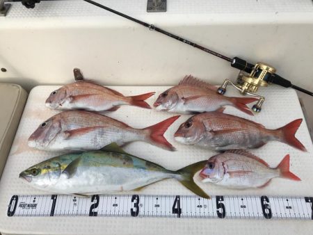 ジギング  鯛ラバ