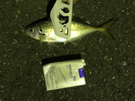 アジング成功！