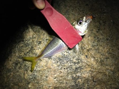 高活性ライトゲーム