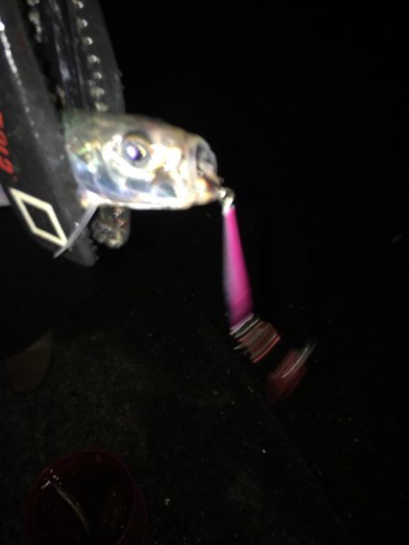 メタルでイワシ