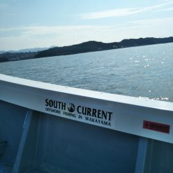 今期初のキロアップ