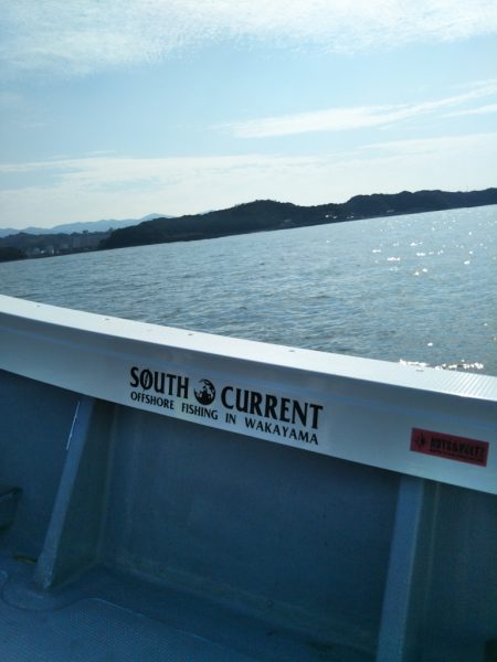 今期初のキロアップ