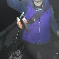 ベイトは多いけど、、