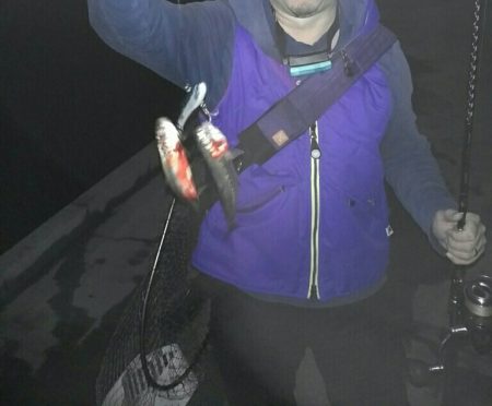 ベイトは多いけど、、