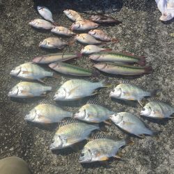 久しぶりのエビ撒き❗️