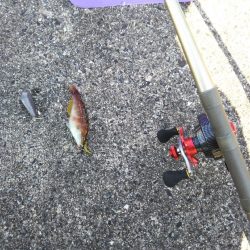 初、垂水一文字だが…