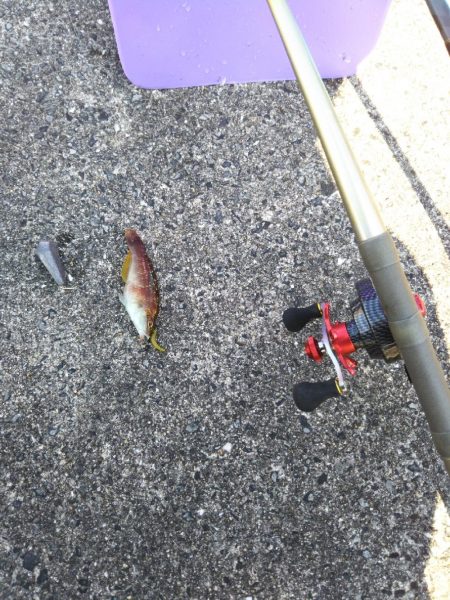 初、垂水一文字だが…