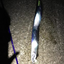 ターゲット捕獲！