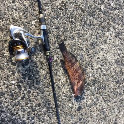 スキルアップ⁉︎