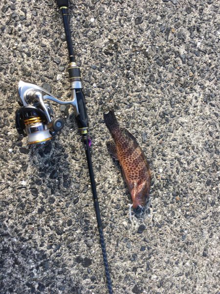 スキルアップ⁉︎