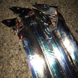 今宵もタッチーチャレンジ(^^)