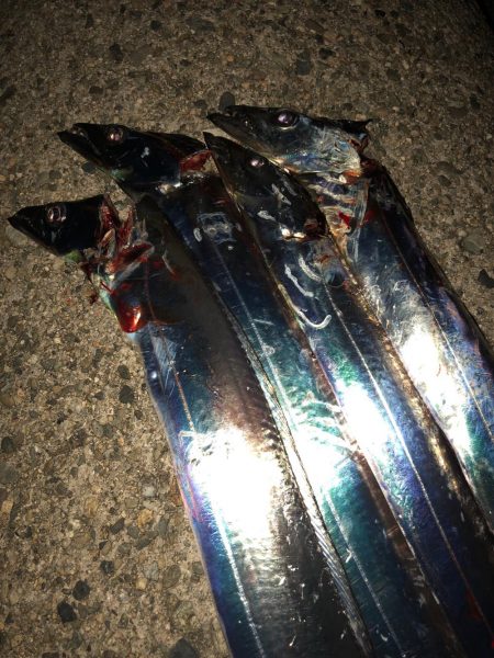 今宵もタッチーチャレンジ(^^)