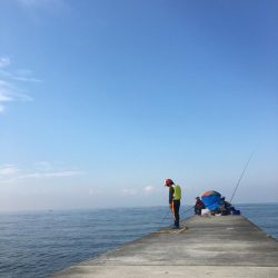 秋の晴れ間に風に吹かれて