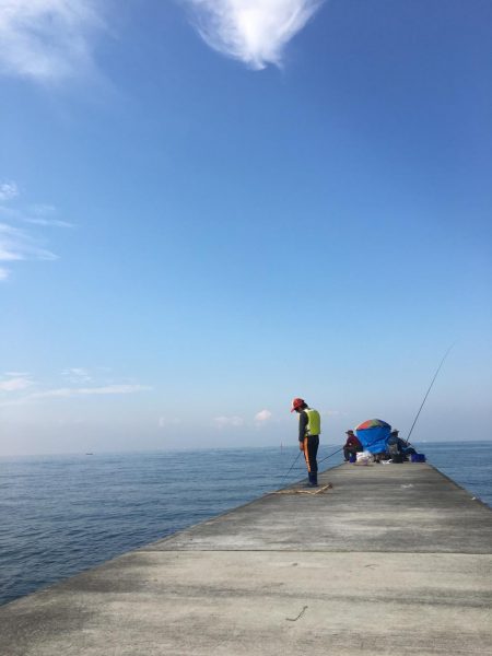 秋の晴れ間に風に吹かれて