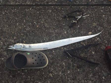 ちょっくらメタジグとワインドで調べ