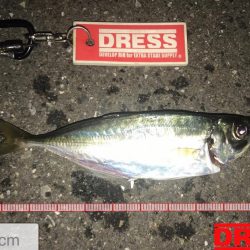 ゲキシブアジング