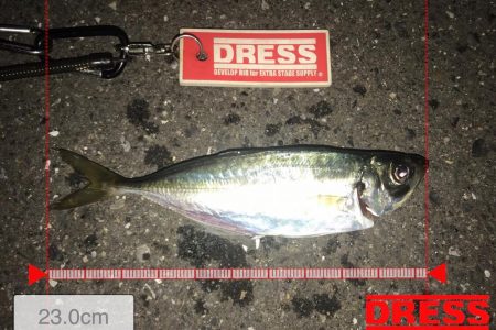 ゲキシブアジング