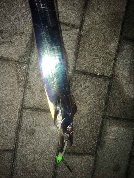 大阪奥湾ワインド ただ巻きパターン