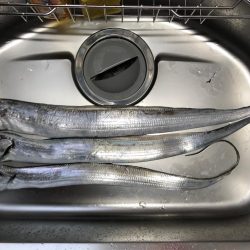 舞洲でリベンジ