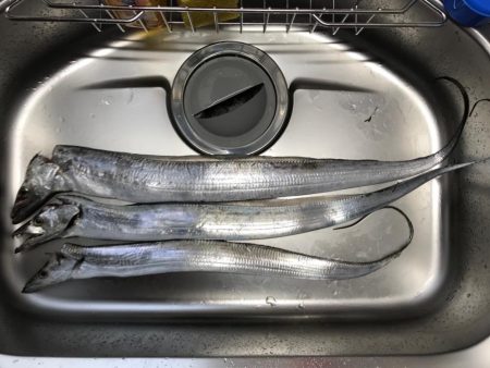 舞洲でリベンジ