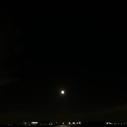 月夜のタッチー調査(^。^)