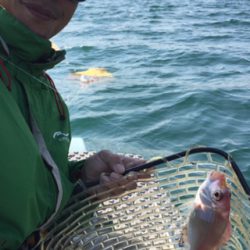 マイボートでタイラバ釣行