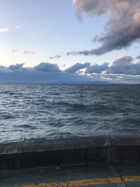 昼間なのにータチウオ