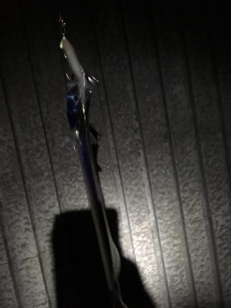 自分だけシブいっす（苦笑）