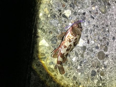 強風ライトゲーム